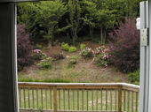 Thumb_photo