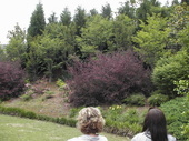 Thumb_photo