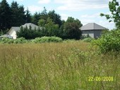 Thumb_photo