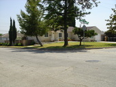 Thumb_photo