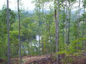 Thumb_photo