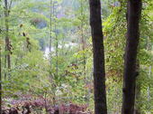 Thumb_photo