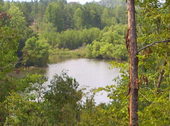 Thumb_photo