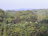 Thumb_photo