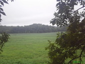 Thumb_photo
