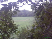 Thumb_photo