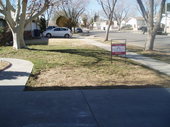 Thumb_photo