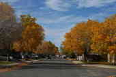 Thumb_photo