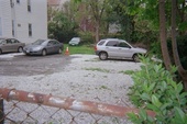 Thumb_photo