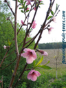 Thumb_photo