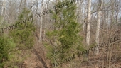 Thumb_photo
