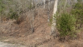 Thumb_photo