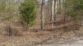 Thumb_photo