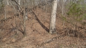 Thumb_photo