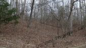 Thumb_photo