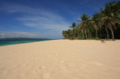 Thumb_photo