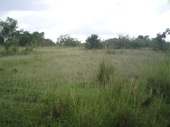 Thumb_photo