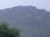 Thumb_photo
