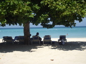 Thumb_photo