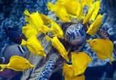 Thumb_photo