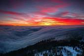 Thumb_photo