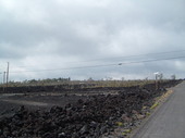 Thumb_photo