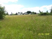 Thumb_photo