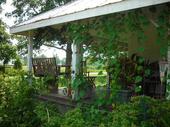 Thumb_photo
