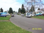 Thumb_photo