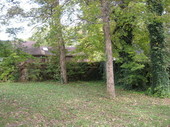Thumb_photo