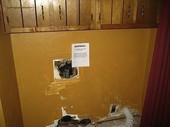 Thumb_photo