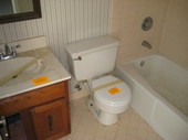 Thumb_photo
