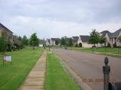 Thumb_photo