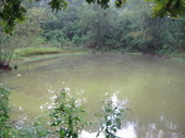 Thumb_photo
