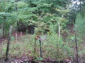 Thumb_photo