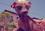 Tiny_ugly