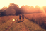 Tiny_influence